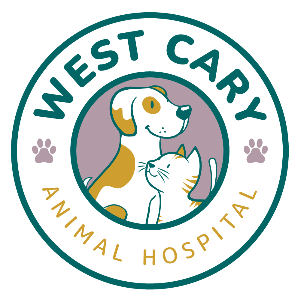 Best Veterinary Hospital In Cary, NC | West Cary Animal Hospital