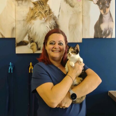 About West Cary Animal Hospital | Vet In Cary, NC 27519